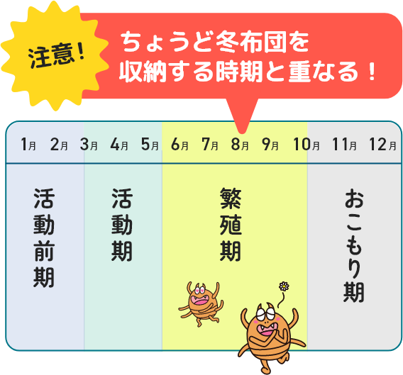 注意！ちょうど冬布団を収納する時期と重なる！