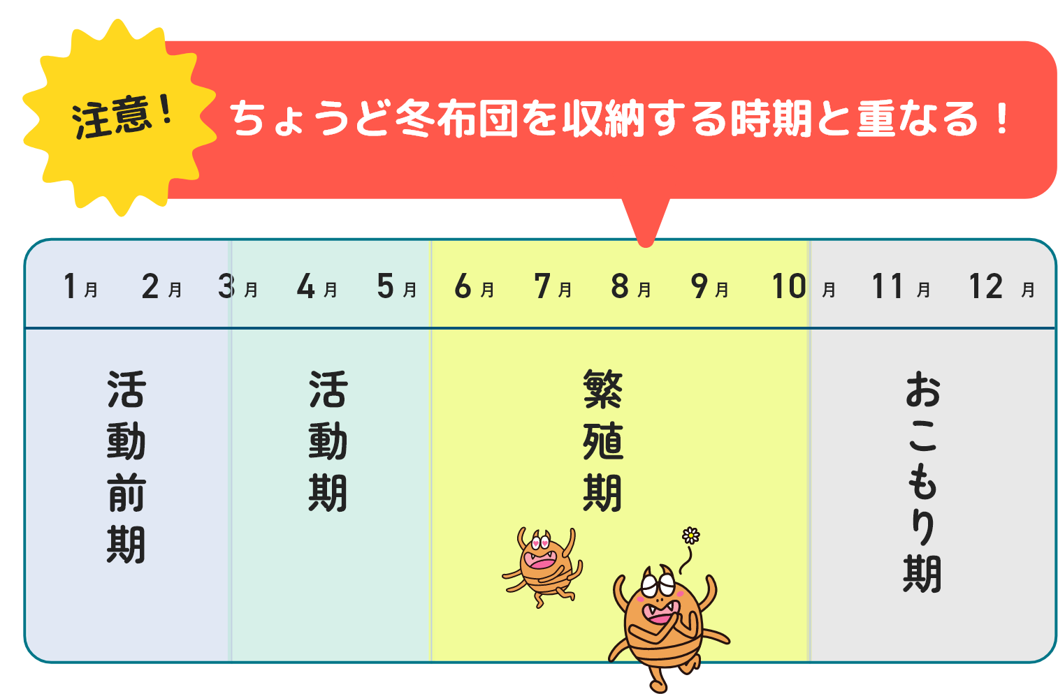 注意！ちょうど冬布団を収納する時期と重なる！
