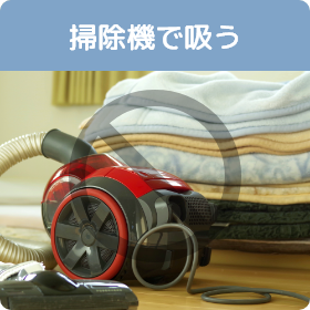 掃除機で吸う