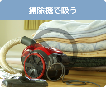 掃除機で吸う