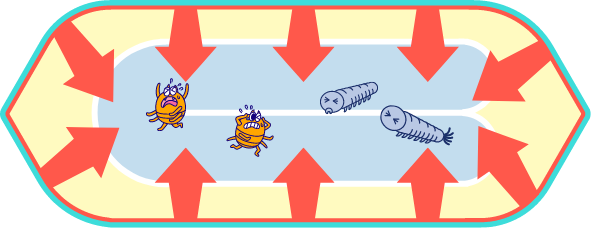 ダニとムシの画像