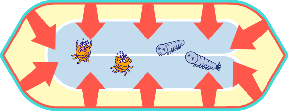 防ダニ＆防虫作用イラスト