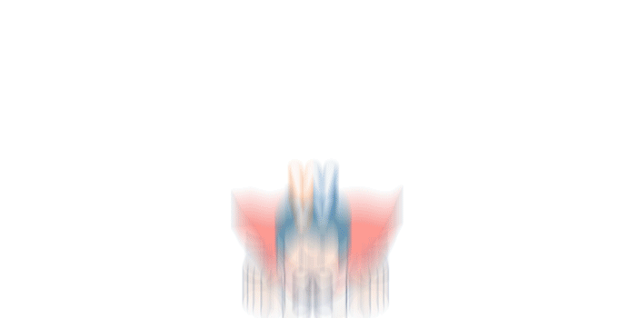 ダニとムシの画像