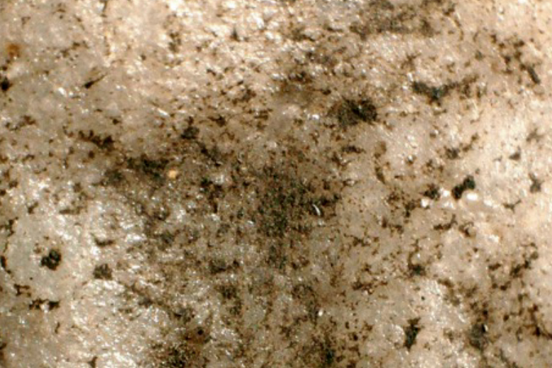 土が付着したタイルの表面の画像