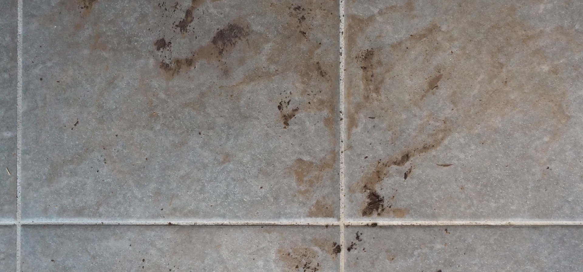 玄関タイルの汚れ