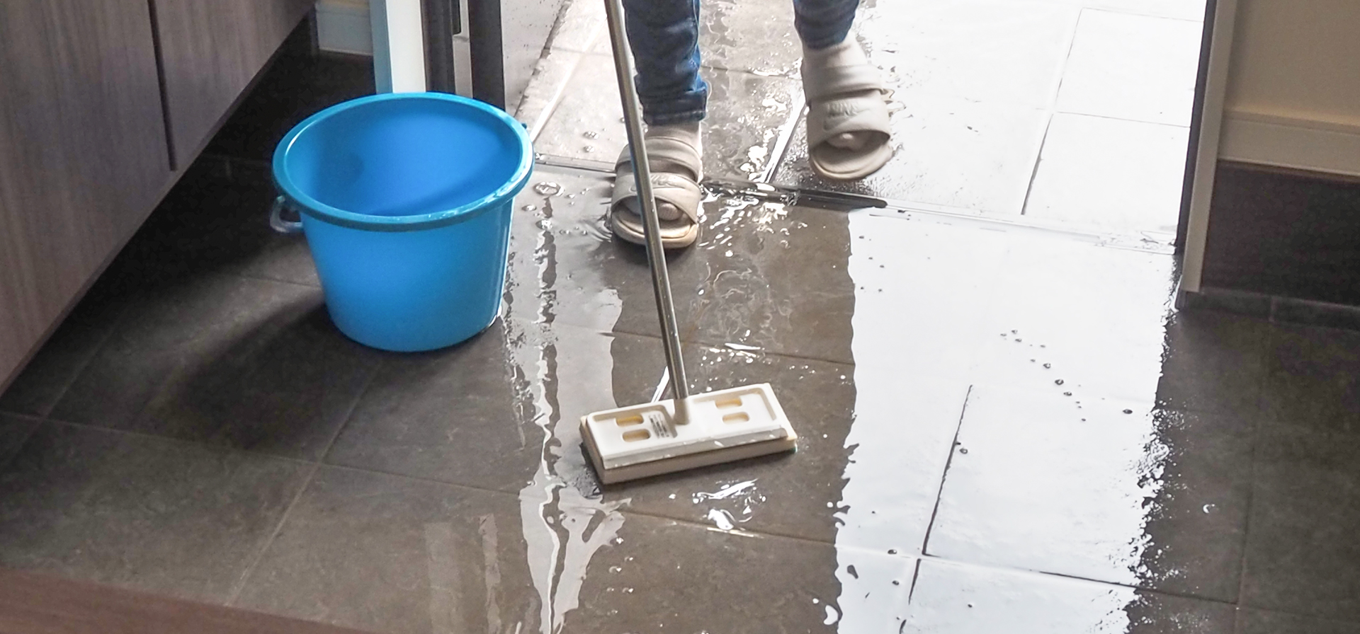 レック玄関タイルブラシ BRUSH(ブラッシュ)で玄関掃除