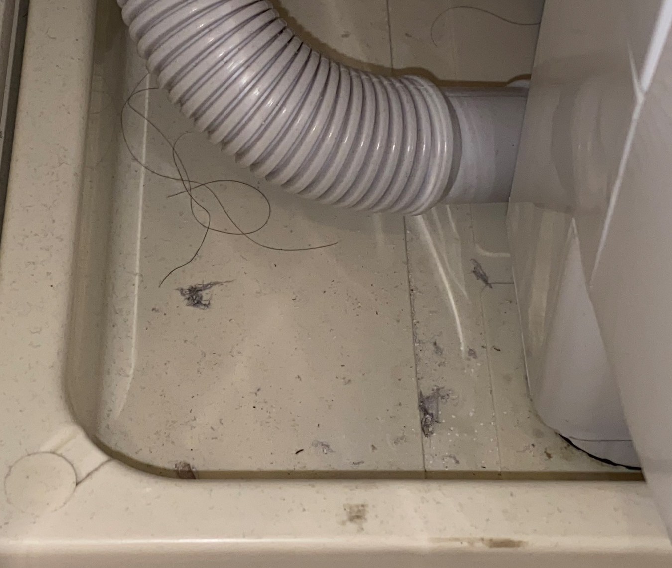 防水パン掃除前