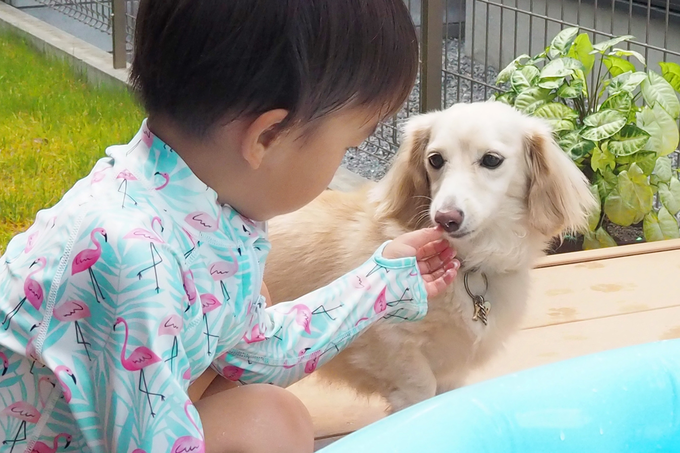 キレイになったドラム式洗濯機の洗濯槽