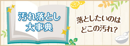 汚れ落とし大事典