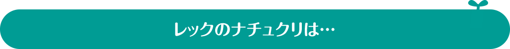 レックのナチュクリは…