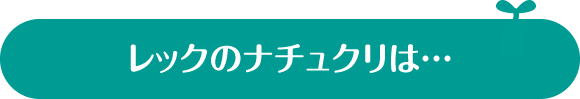 レックのナチュクリは…