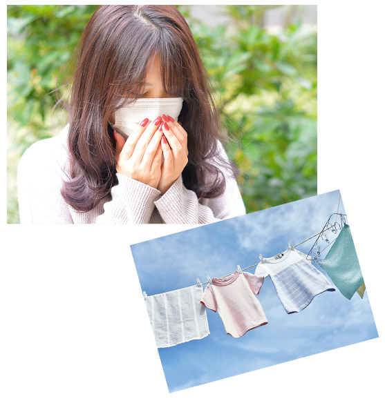 レックの花粉対策