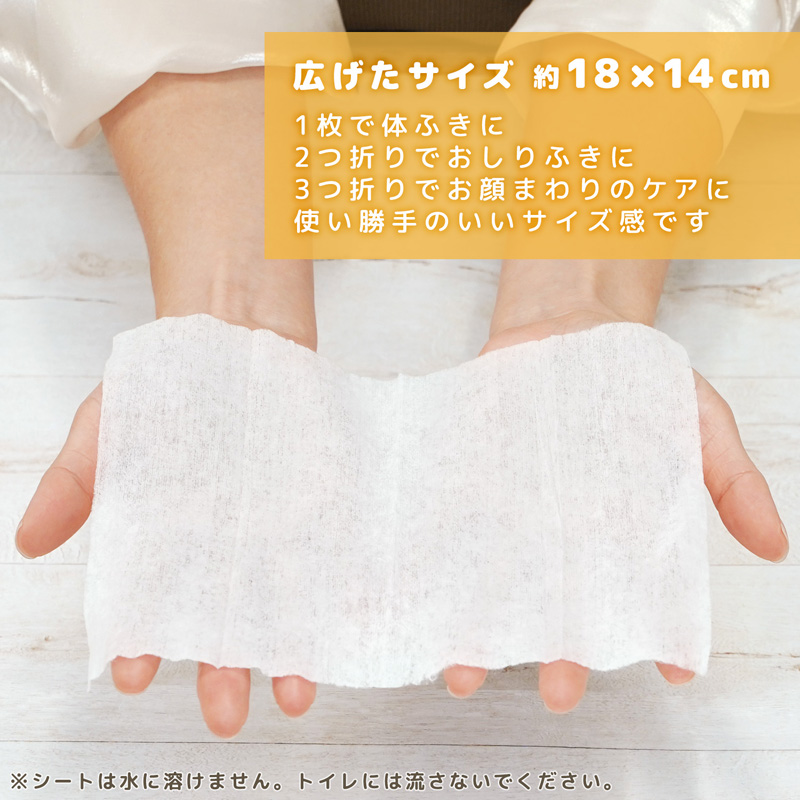 レックECペット用ウェットシート80枚