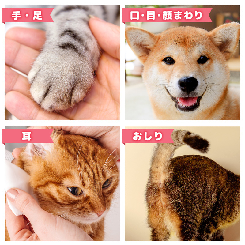 レックECペット用流せるウェットシート70枚