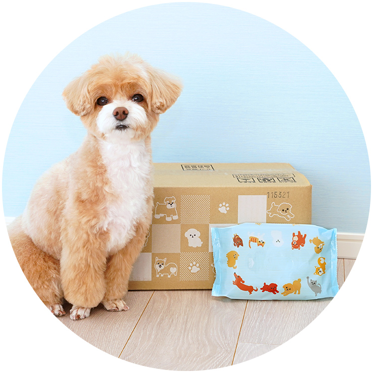 ペット用ウエットシートとケース