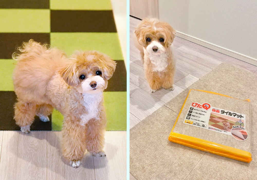 フローリング用保護マット滑り止め