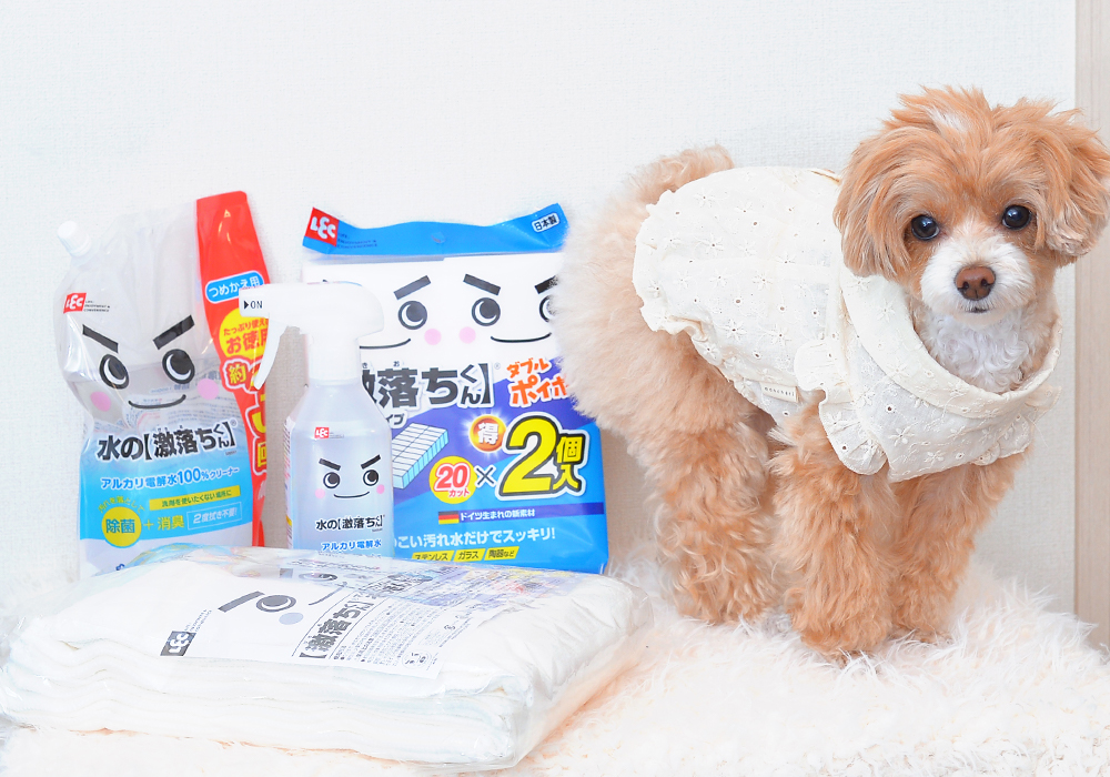 LEC激落ちくんセット