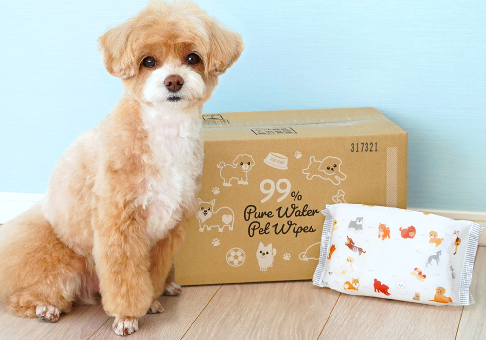 マルプーのモナちゃん