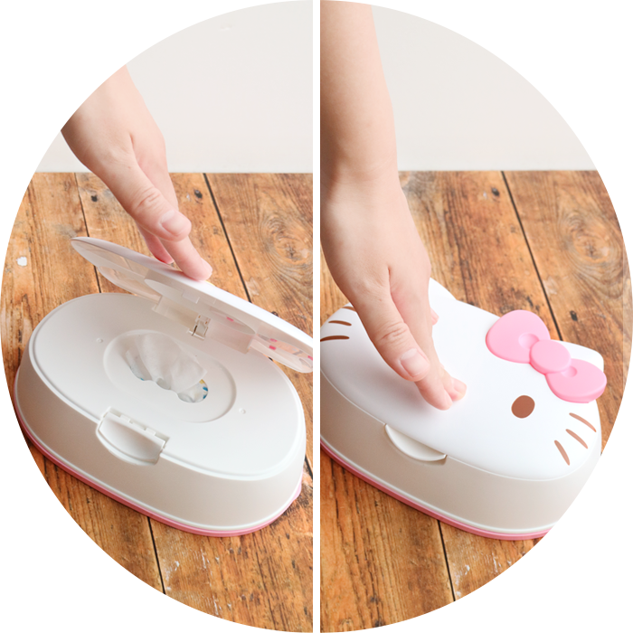 サンリオ ハローキティ ケース