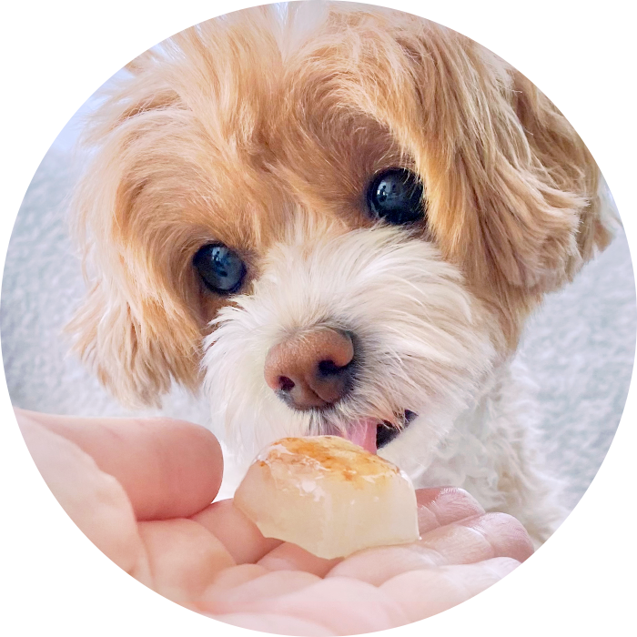 簡単手作りアイスキャンディー