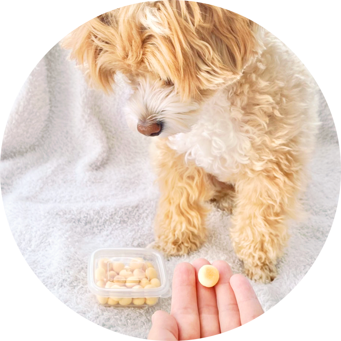 クリア保存容器サイズ感