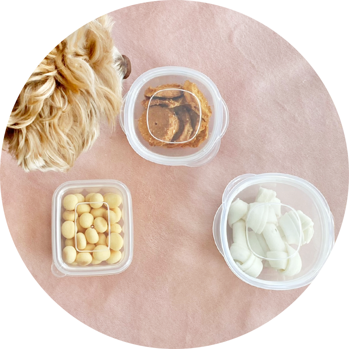 冷蔵・冷凍OKオヤツの保存