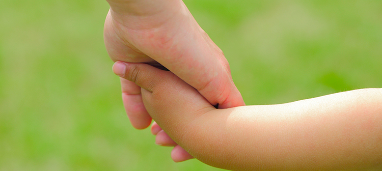 除菌・ウィルス除去