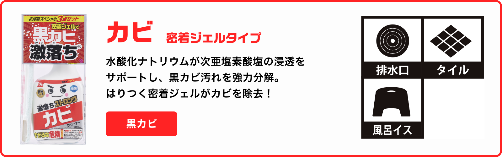 激落ちストロング カビ用洗剤 700mL 道具セット