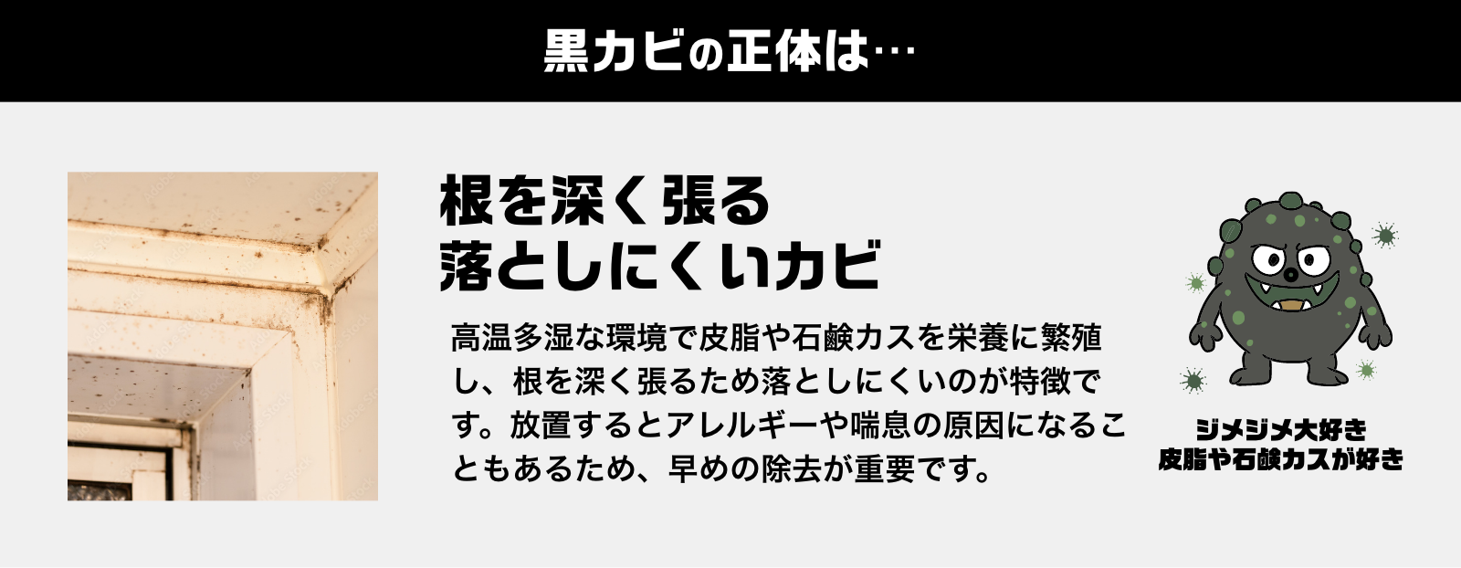 激落ちストロング 水アカ 700mL 道具セット