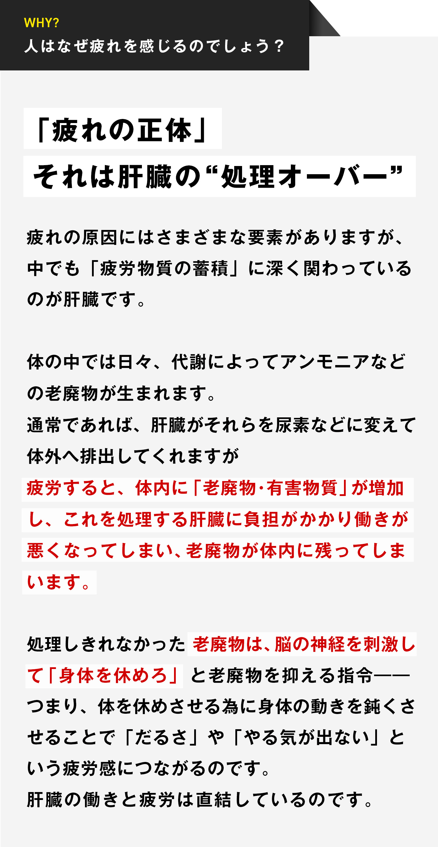 「疲れの正体」それは肝臓の“処理オーバー”