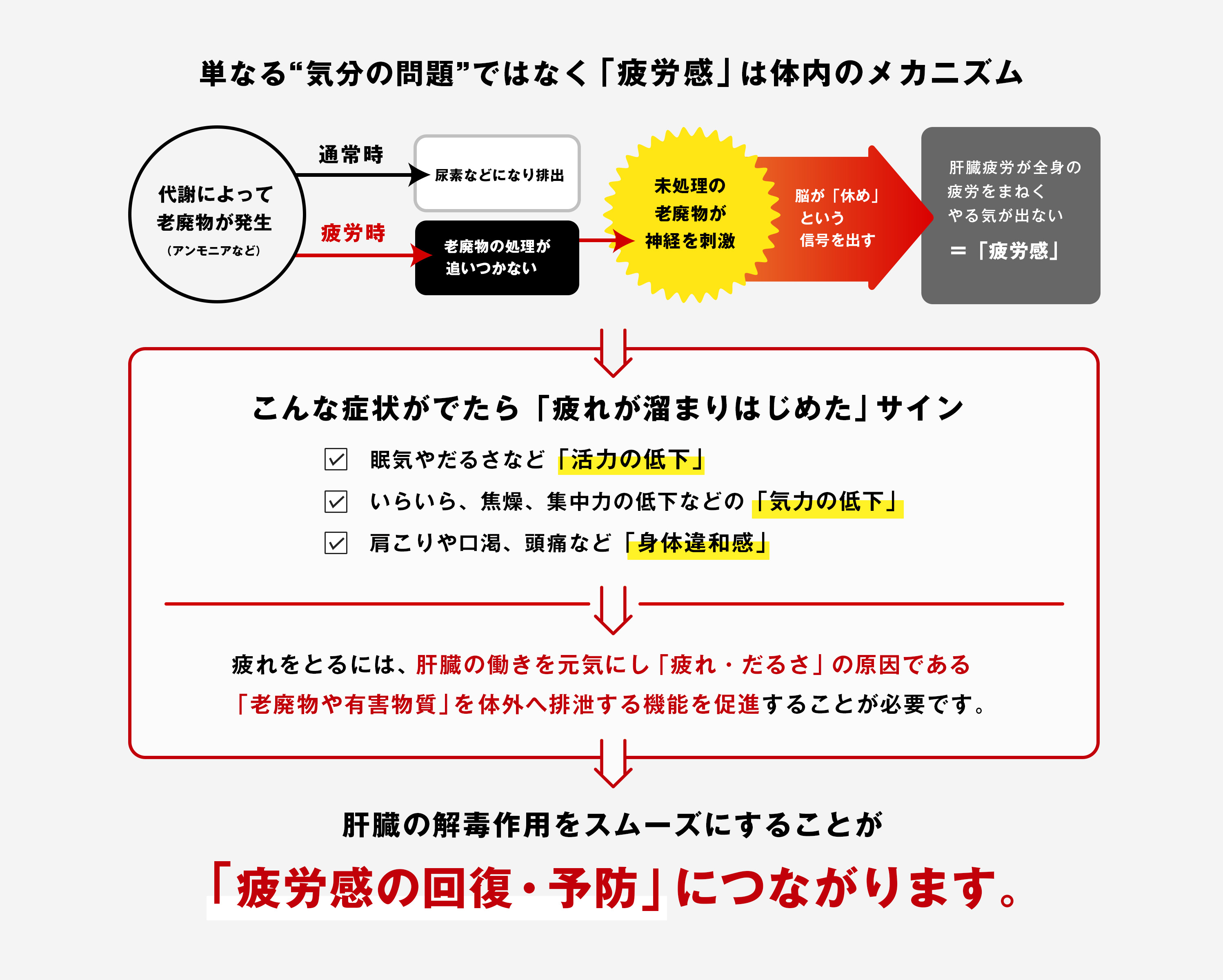 「疲れの正体」それは肝臓の“処理オーバー”