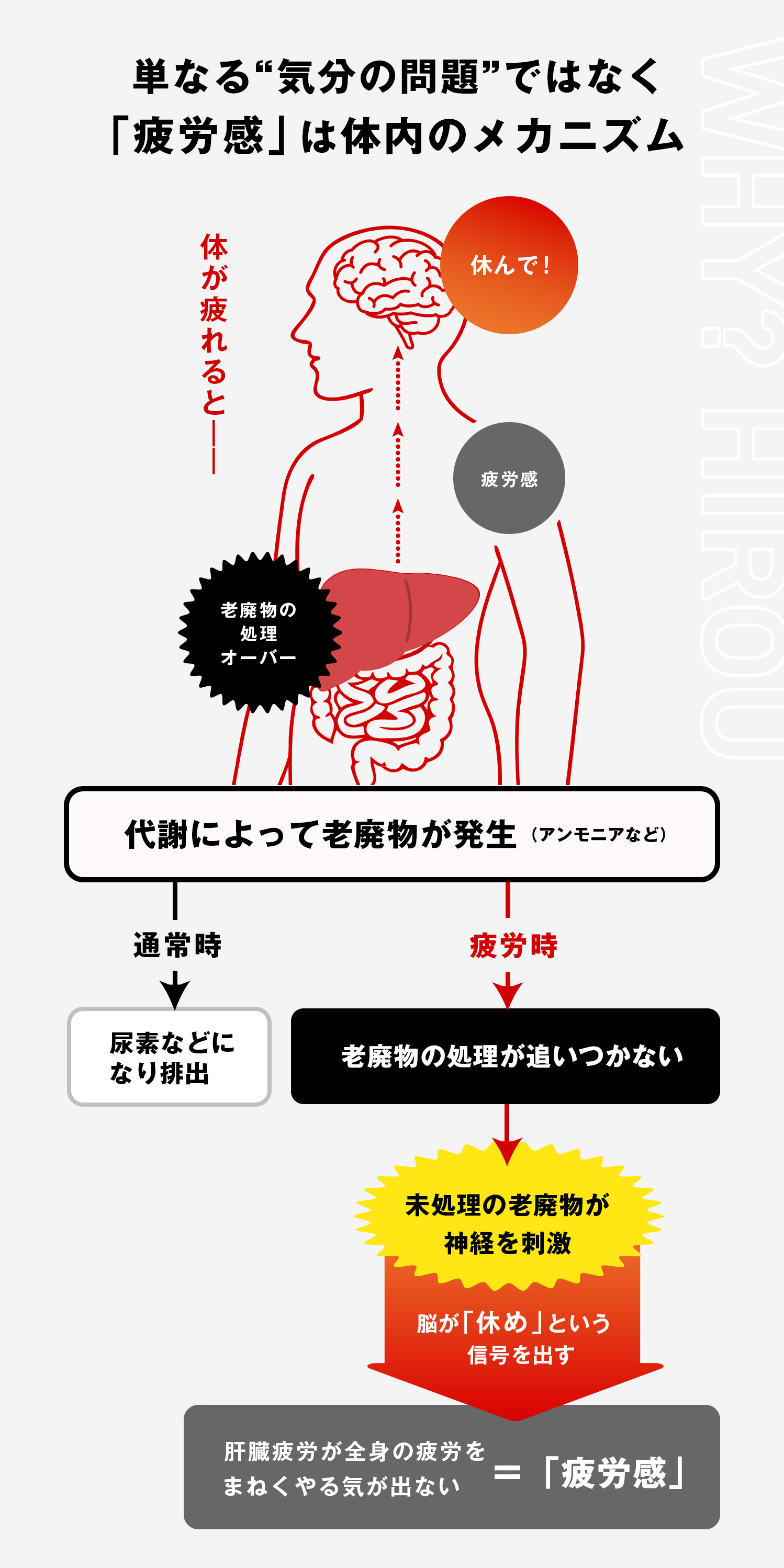 単なる“気分の問題”ではなく「疲労感」は体内のメカニズム
