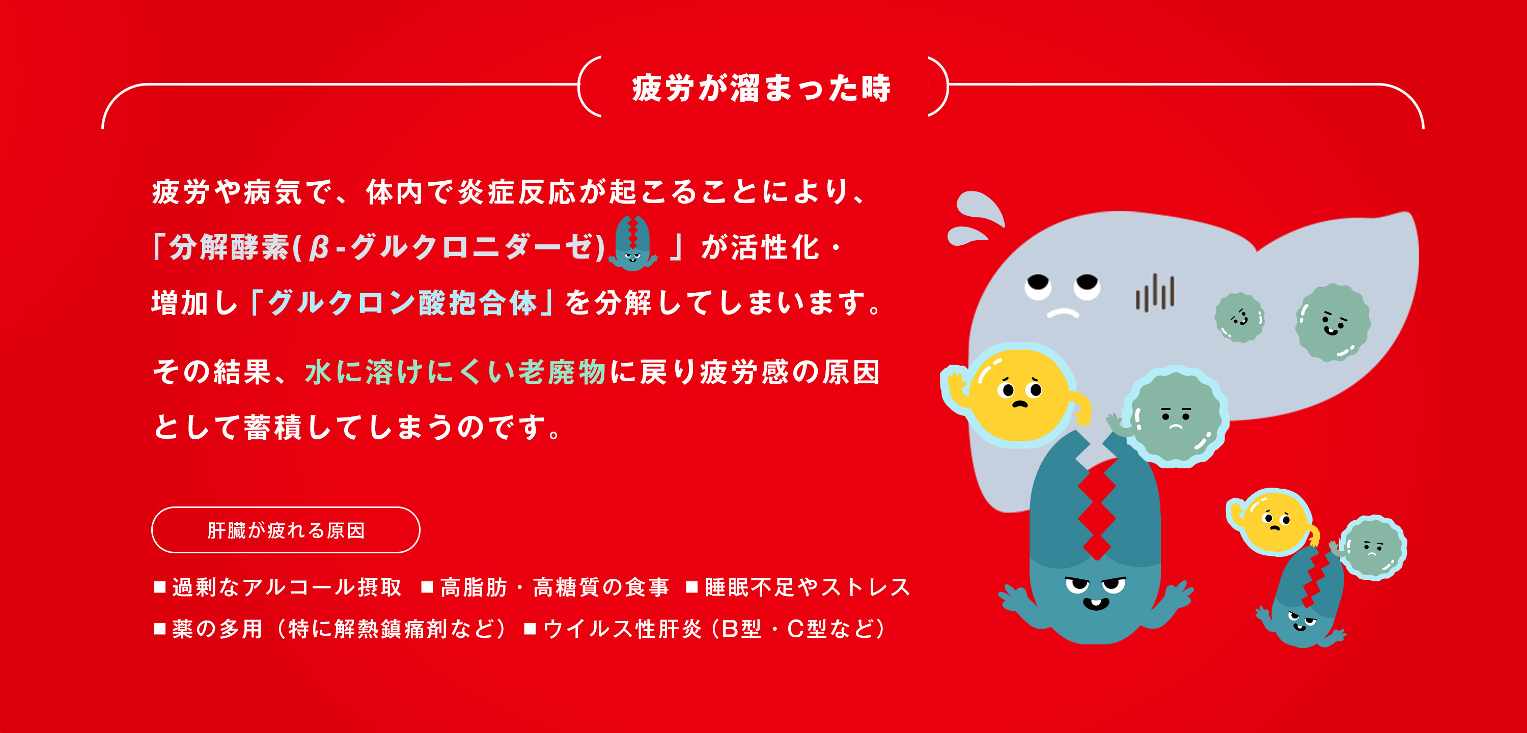 肝臓の解毒を助け、疲労物質の排出をサポート
それが、グロモントの有効成分「グルクロノラクトン」です。