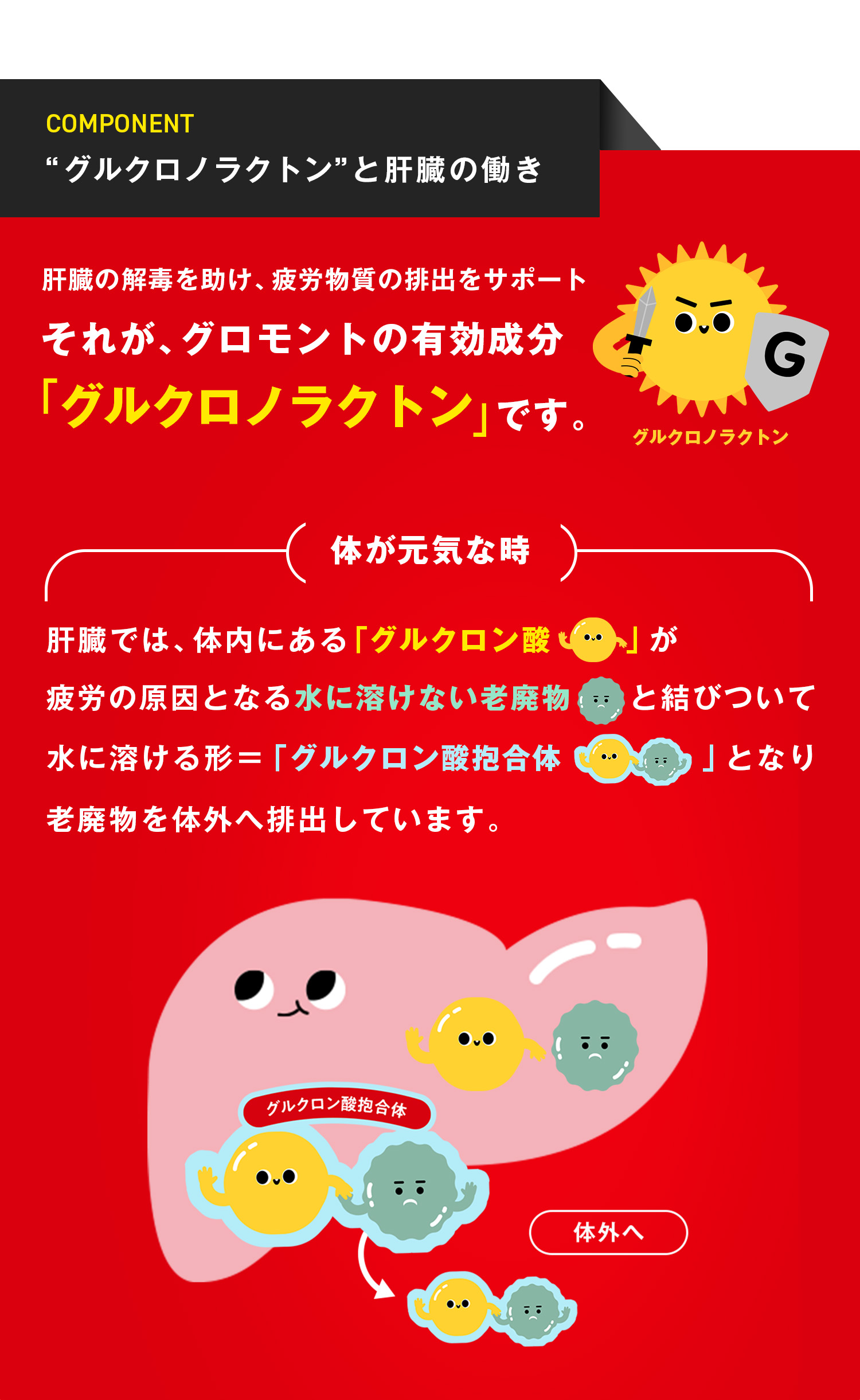 肝臓の解毒を助け、疲労物質の排出をサポート
それが、グロモントの有効成分「グルクロノラクトン」です。