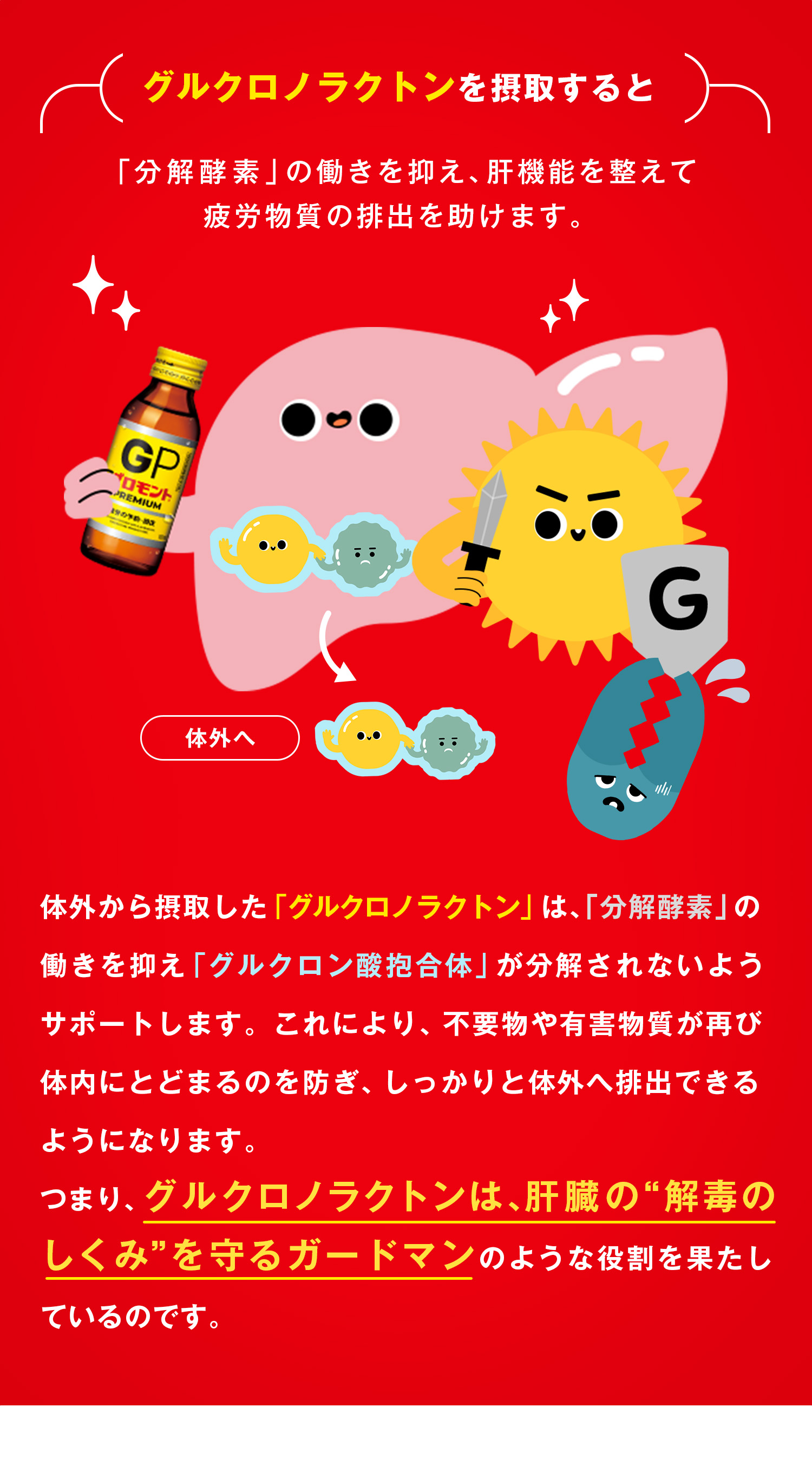 グルクロノラクトンを摂取すると