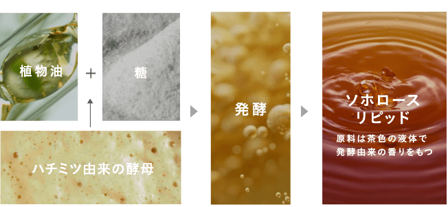 ソホロースリピッド説明図