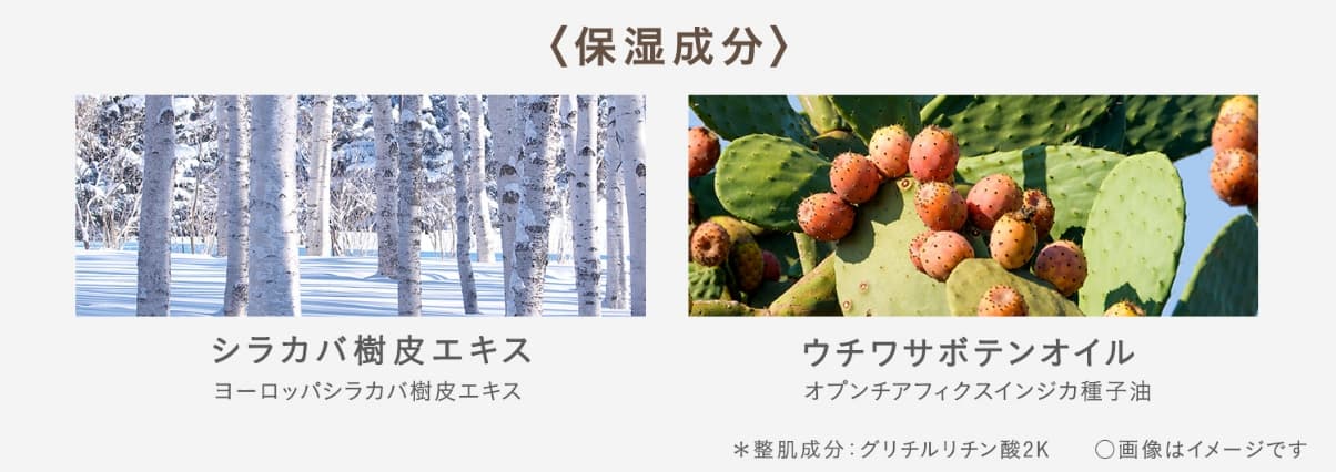 ホワイトバーチ保湿成分