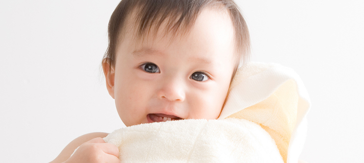 その他おしりふき／手口ふき