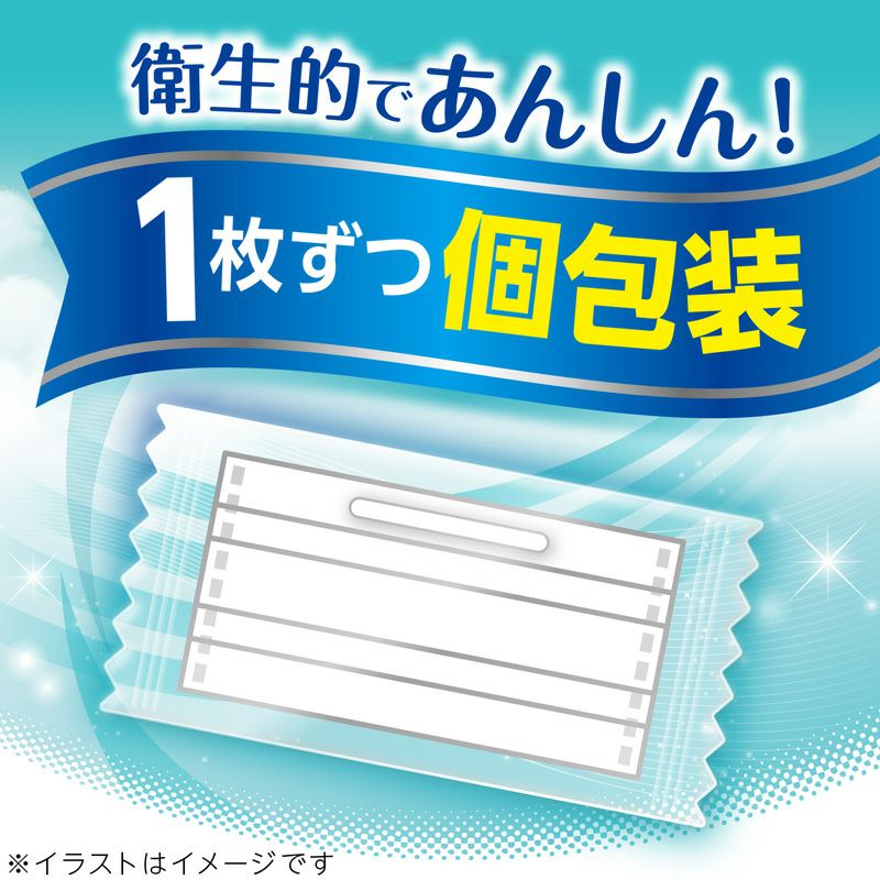 日本製 さわやかフィット 不織布マスク ふつう 個包装 30枚入 | レック