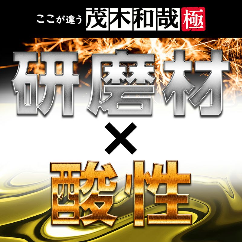 茂木和哉 極 80mL お試しサイズ 大掃除 | レック公式オンライン