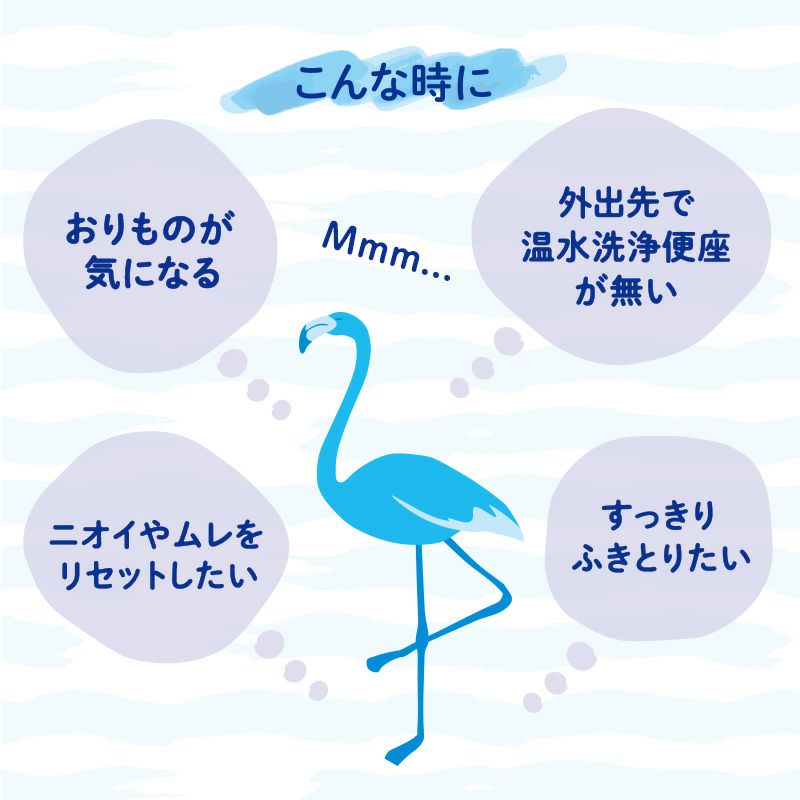 Femia デリケート ウェットシート 無香料 20枚入×2個 | レック公式