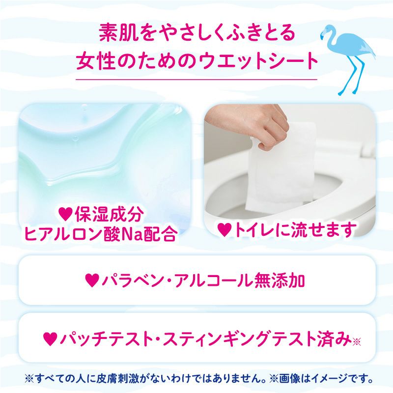 Femia デリケート ウェットシート 無香料 20枚入×2個 | レック公式