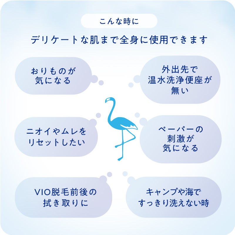 デリケット 3個 Femia デリケート ウェットシート 無香料 10枚入×3個