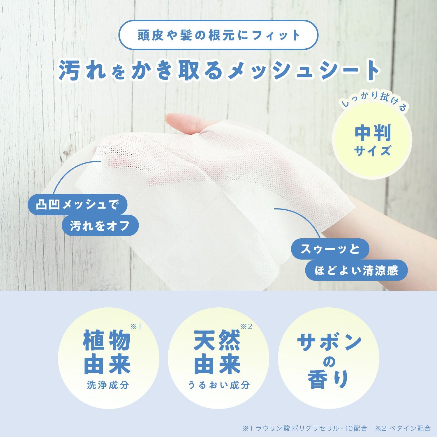ポケットエチケット シャンプーシート10枚 | レック公式オンライン