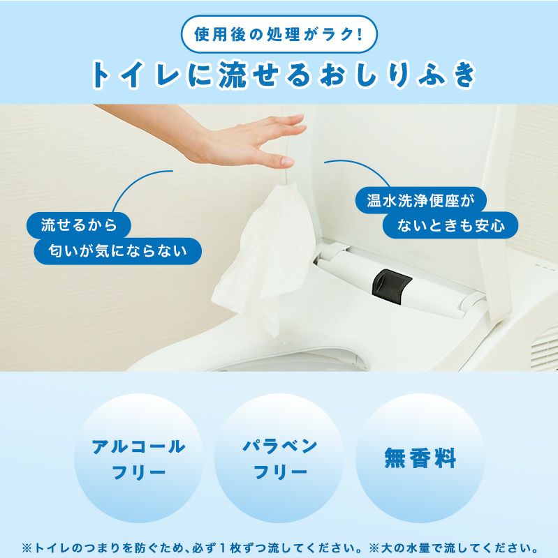 ポケットエチケット 流せるおしりふき10枚 | レック公式オンライン