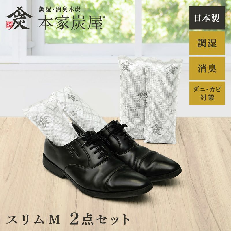 調湿・消臭木炭 本家炭屋 スリムタイプM 2個セット | レック公式