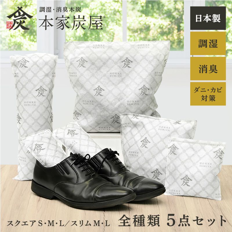 本銀消粉 2枚セット 調湿・消臭木炭 本家炭屋 全種類1個ずつ 計5点セット | レック公式