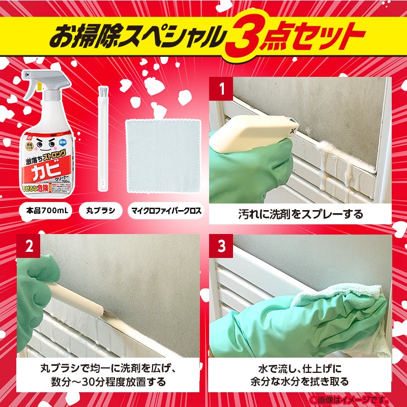 激落ちストロング カビ用洗剤 700mL 道具セット