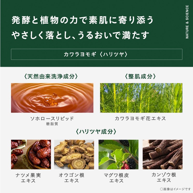 NUTANT クレンジング洗顔シート カワラヨモギ 10枚×3個 | レック公式
