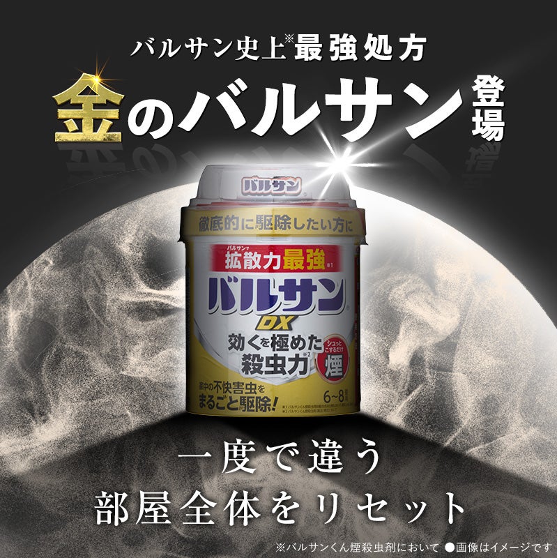 バルサンDX 煙タイプ 6～8畳用 3個 | レック公式オンラインショップ